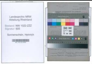 Entnazifizierung Heinrich Sonnenschein , geb. 09.12.1900 (Maler)