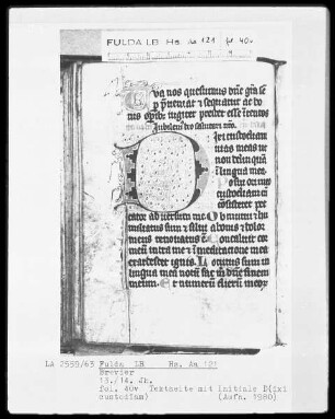 Brevier — Initiale D(ixi custodiam), Folio 40verso