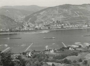 Rhein bei Lorch