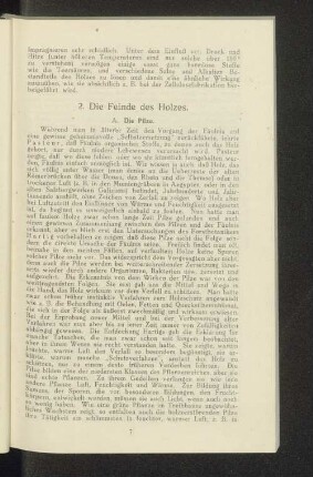 2. Die Feinde des Holzes.