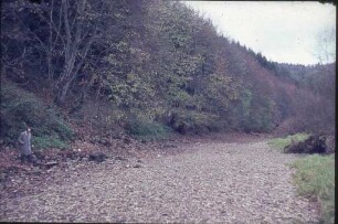 Geologische Untersuchung an Versickerungsstelle der Donau