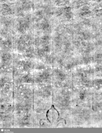 Lilie / Tj = S.3/4