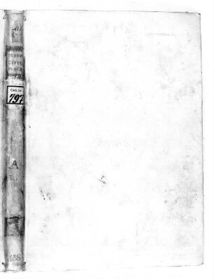 Statuta et provisiones communitatis Placentinae [u.a.] - BSB Clm 797