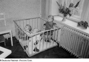 Kleinkinder in einem Laufstall