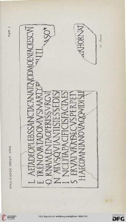 Tavola I - XII