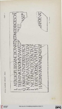 Tavola I - XII
