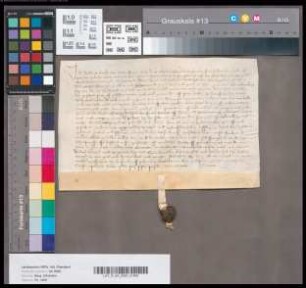 Albert Haeke von Waldenstein schwört Herzog Adolf von Kleve- Mark Urfehde.