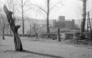 Obernhof: Schloss Langenau, Vordergrund mit Baumstumpf