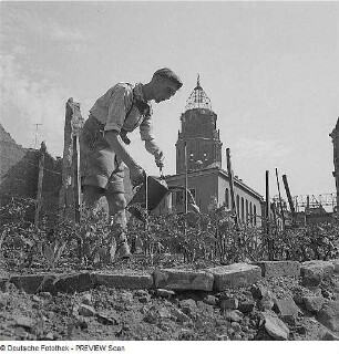 Dresden. Kleingartenarbeit in Trümmerfeldern des Stadtzentrums