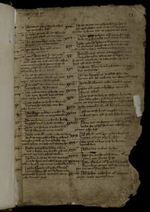Eike von Repgow: Sachsenspiegel-Landrecht mit Glosse des Johannes von Buch (Klasse I/Kürzere Glosse, Ordnung Ib)
