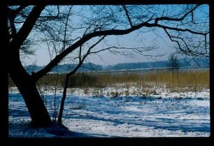 Wannsee 18.2.78.