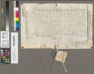 Päpstliche Provision für Carolus Josephus Opsinnius alias Koche.