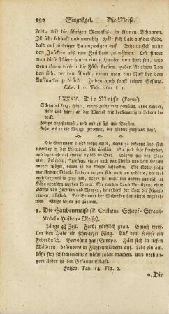 LXXXV. Die Meise
