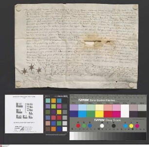 Seligenstadt: Instrumentum notariale quo Christophorus Schlunt de Rehbach clericus possessor altaris S.S. Catharine et otilie, primissario nuncupa...