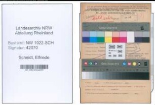 Entnazifizierung Elfriede Scheidt , geb. 01.11.1906 ()