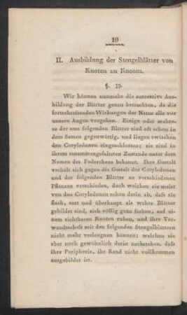 II. Ausbildung der Stengelblätter von Knoten zu Knoten
