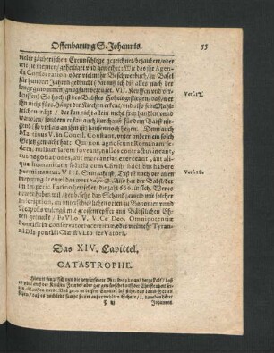 Das XIV. Capittel. Catastrophe.