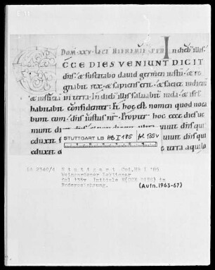 Voll-Lektionar — Initiale E(CCE DIES), Folio 135verso