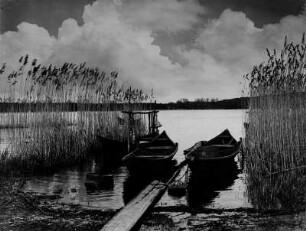 Berlin-Kladow. Alte, mit Schilf bewachsene Fischerstelle an der Havel. Fischerkähne am Steg