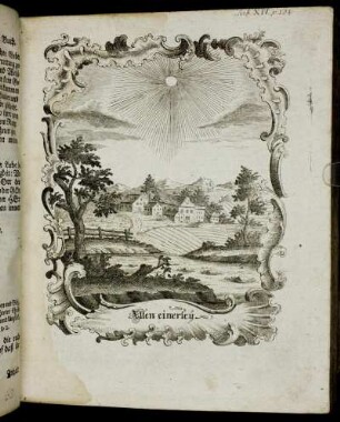 Tab. XIV. p. 104.