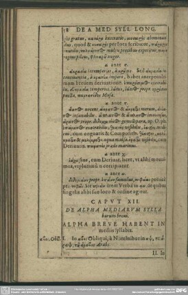 Caput XII. De Alpha Mediarum Syllabarum breui