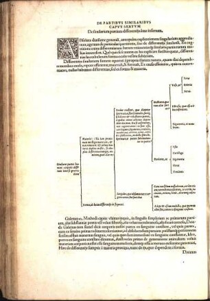 Capvt Sextvm De similarium partium differentijs à me insertum.