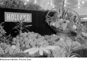Weintrauben, Auberginen, Zucchini, Paprika und weiteres Obst und Gemüse aus Holland auf der Leipziger Herbstmesse 1954