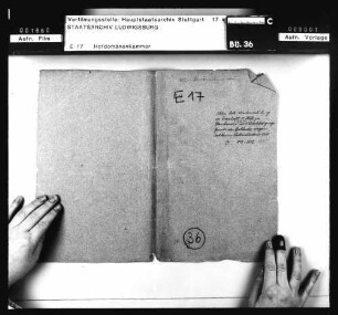 Neuhausen a.d.F. und Pfauhausen: Verpachtung von 16 herrschaftl. Hofgütern