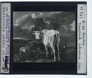 Karel Dujardin, Tierstück