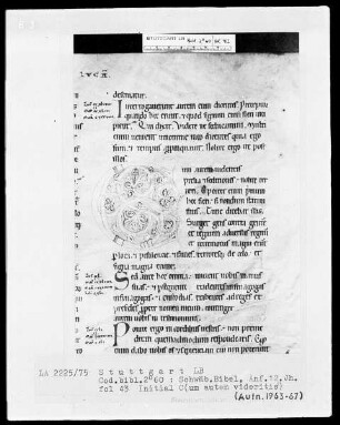 Bibel — Initiale C (um), Folio 43 recto