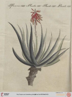 B.VI. No. 71 - B.VI. No. 80