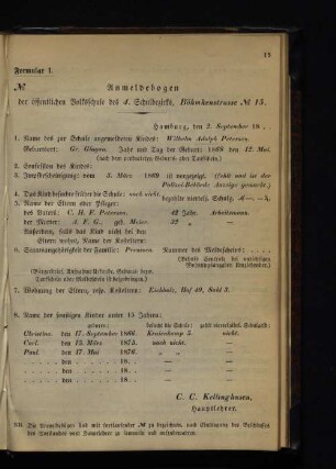 Formular 1-29b