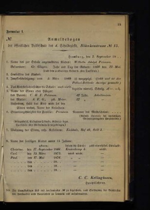 Formular 1-29b