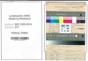 Entnazifizierung Walter Hattwig , geb. 07.05.1908 (Student)