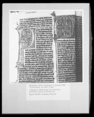 Lüneburger Bibel — Buchseite mit zwei Zierinitialen — Zierinitiale P (aulus)