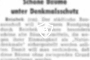 Schöne Bäume unter Denkmalschutz