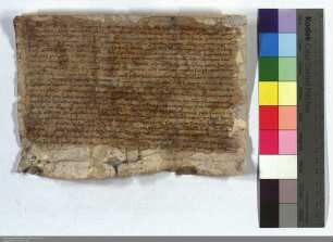 Ritter Eckard von Liederbach schenkt dem deutschen Hause in Marburg seine Güter zu Alsfeld, Liederbach, Dirsrode, Vockenrod, Ehringshausen, Wolfha...