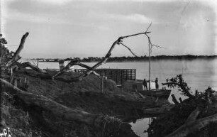 Rio Paraná : Viehfähre und Schleppdampfer am Ufer des Rio Paraná.