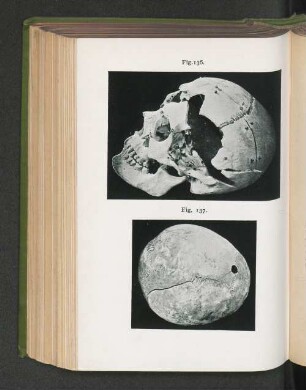 Fig. 136. Fig. 137.