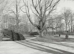 Park, Seifersdorf (Kreis Dresden)