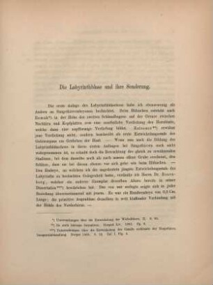 Die Labyrinthblase und ihre Sonderung