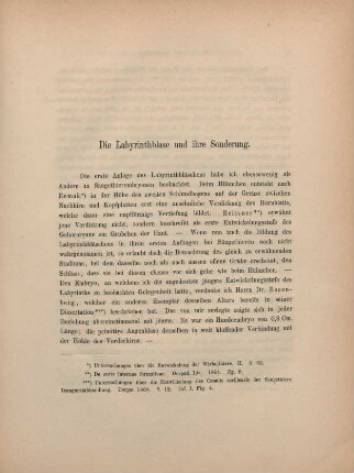 Die Labyrinthblase und ihre Sonderung