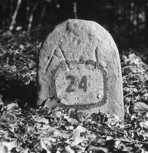 Grenzstein - Justizamts- und Gerichtsgrenzen; Ringgau, Männerhecke