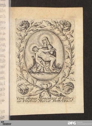 Vera effigies Miraculosce et Doloro sce Virginis Mariæ Dettelbace