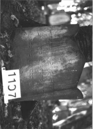 Grabstein 1107 (Index: 99899776) Material: Sandstein Zustand: verwittert Maße HxBxT: 54x54x7 cm Beschreibung: Stele mit Dreiecksabschluss, akroterienartige Ecken: Grabstein 1107