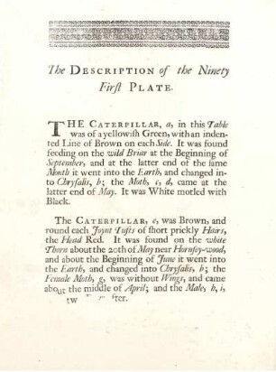 The Description of the Ninety First Plate
