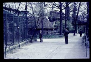 Zoo 23.4.66.