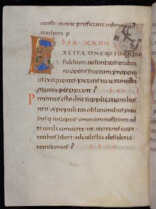 Zierinitiale / Randleisteninitiale mit Rankenbesatz: E(xcita domine)