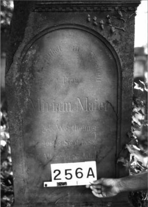 Grabstein 256 (Index: 100085151) Maße HxBxT: 167x56x24 cm Beschreibung: Stele, profil. Sockel, Zahnfries, giebelart. Abschl. , Schrift eingetieft m. Rundbog. abs: Grabstein 256A