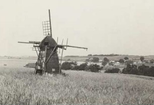 Mariendorf. Alte Windmühle bei Alt Reddevitz